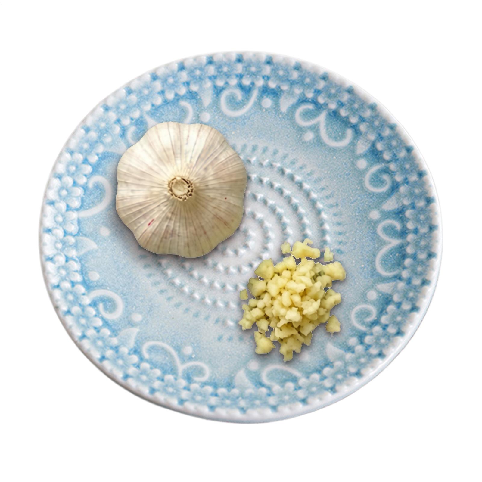 Garlic Grater Plate Cheese Shr - Kitchen Gadgets Peeler review and price