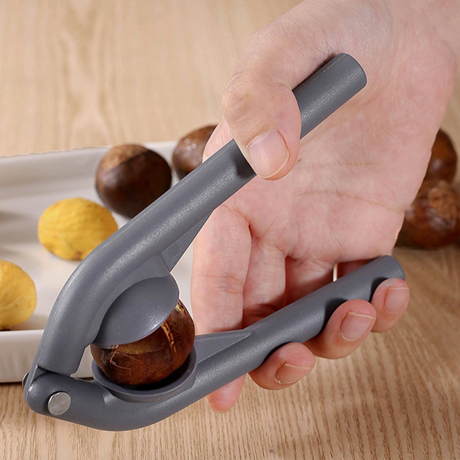 Stainless Steel Chestnut Cutte - Kitchen Gadgets Peeler review and price